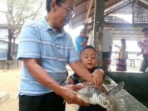 turtle island tanjung benoa bali