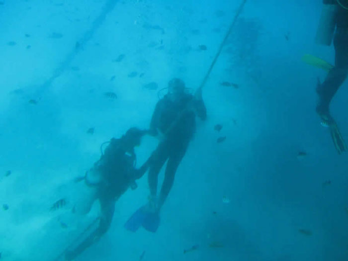 Bali Hai Reef Cruise Diving