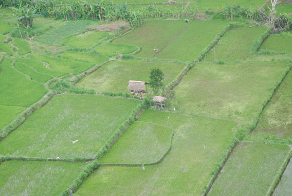 Cycling Tour Bali 17