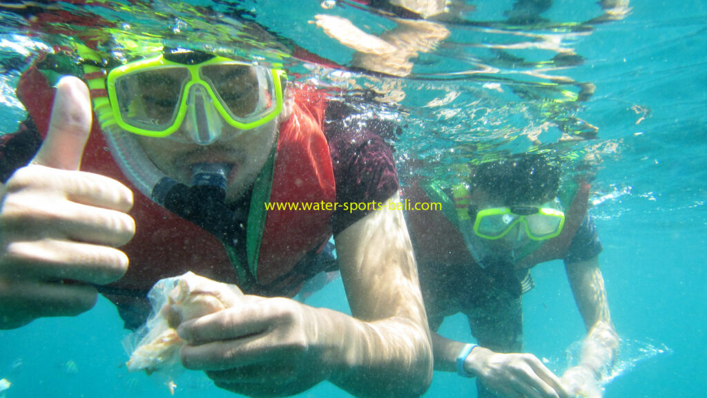 Bali Snorkeling Marine Activity For Beginner Tanjung Benoa Beach