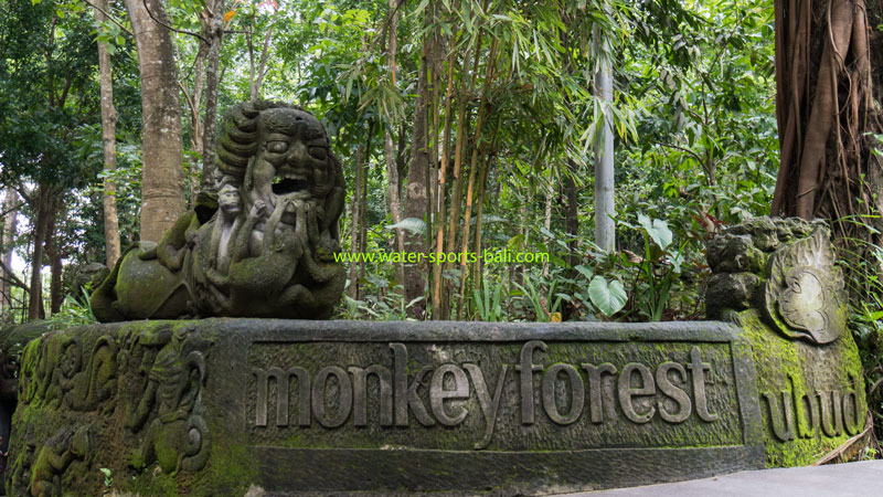 Frequently Ask Questions Monkey Forest Bali