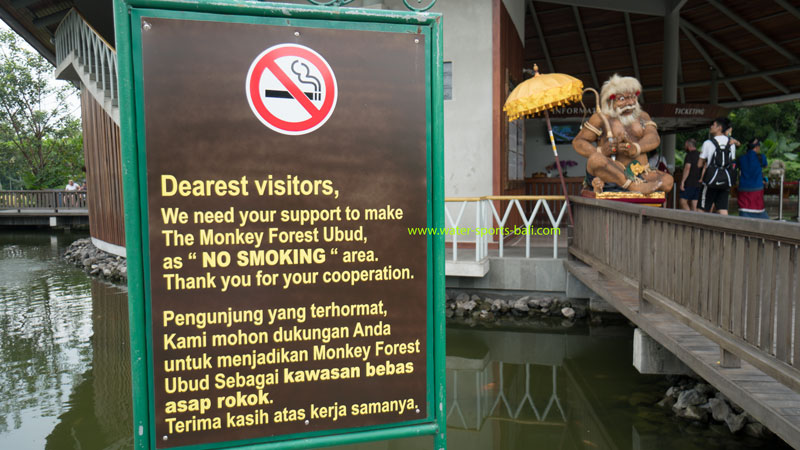 Guidance For Visiting The Ubud Monkey Forest