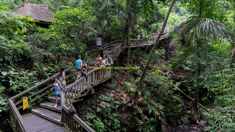 What To Wear To Monkey Forest Ubud