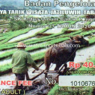 Jatiluwih Rice Terrace Entrance Fee