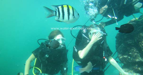 Intro Scuba Dive At Tanjung Benoa - 10 Bali Water Sports Games Favorites By Indian Travelers