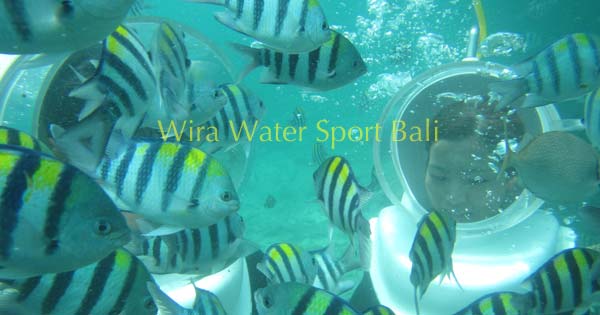 Seawalker Tour Tanjung Benoa