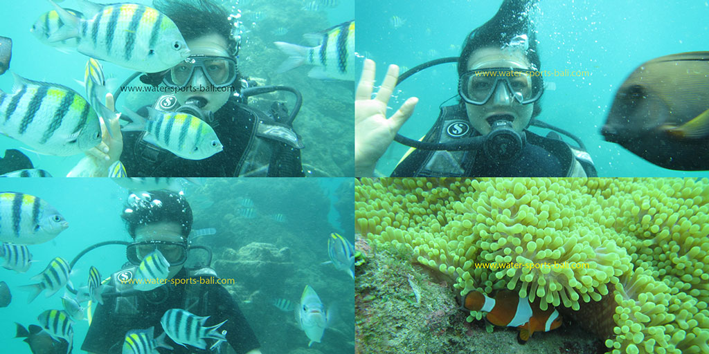 Dive Concepts August 2023