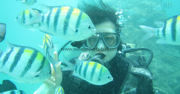 Beginner Scuba Divers in Bali