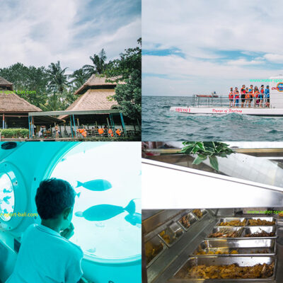 Bali Submarine Tour Review