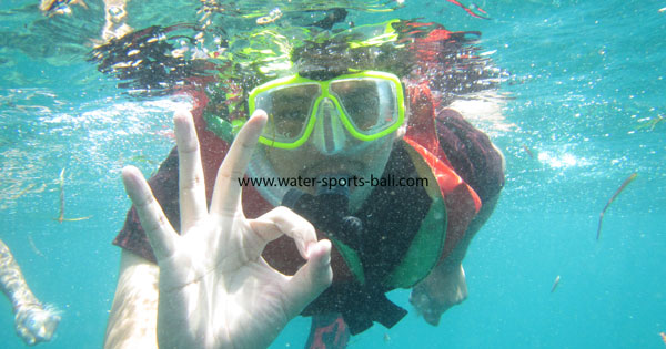 Snorkelers exploring marine life near Tanjung Benoa's waters