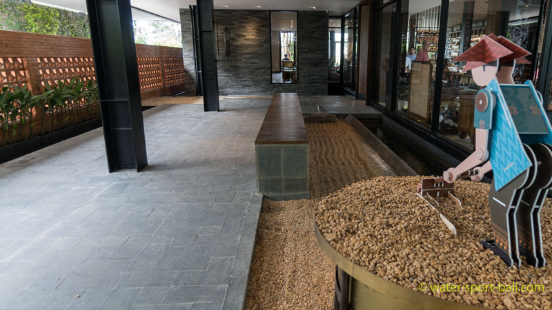 Information Area for Coffee Bean Processing