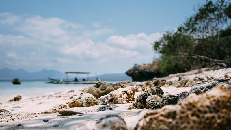 West Bali Menjangan Island