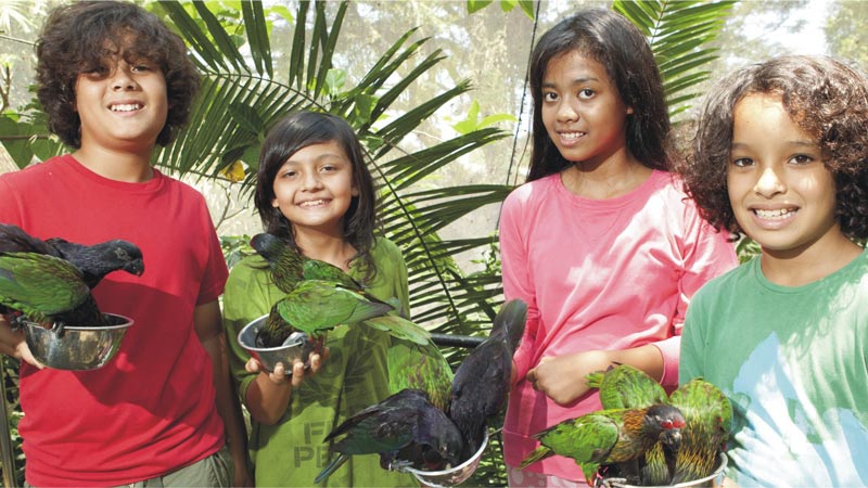 Lory Feeding