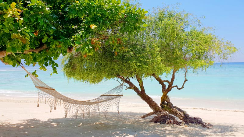 Secluded hammock tied between trees on the pristine beach of Gili Trawangan Island, Bali