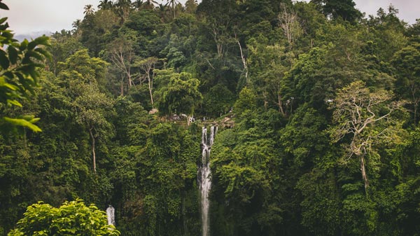 Sekumpul Hidden Waterfall, Bali