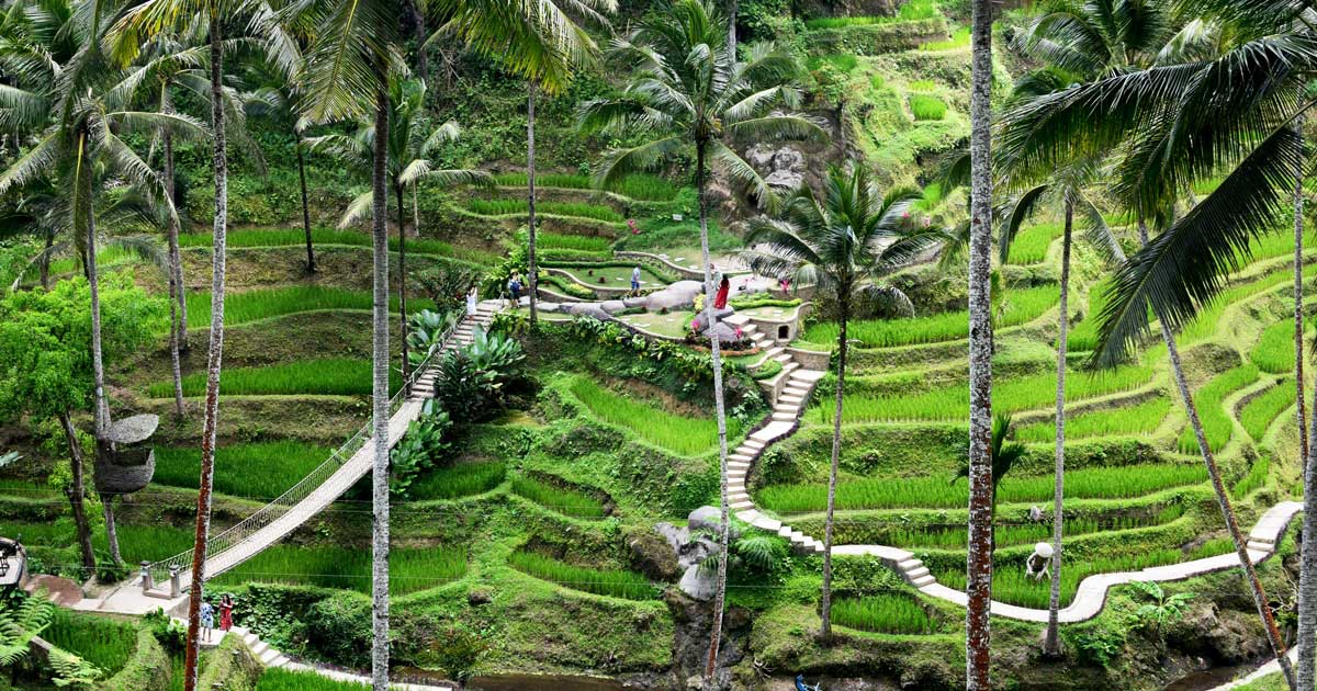 kuta ubud bali