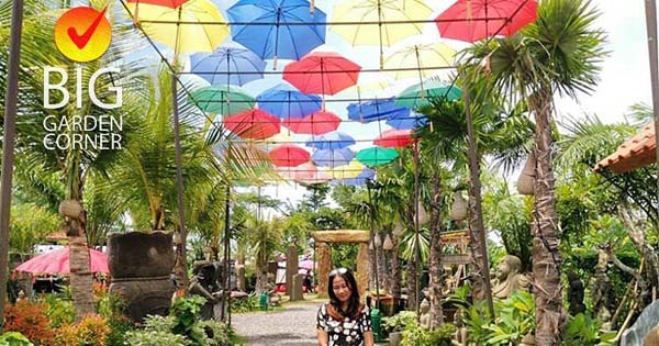 Colorful Umbrella Roof