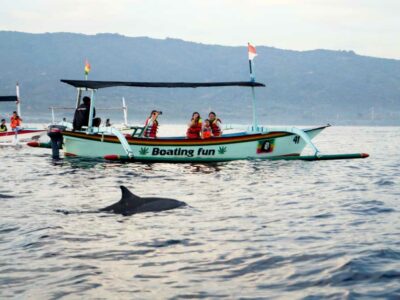 Dolphin On The Lovina Beach