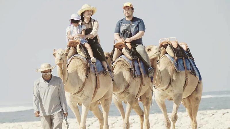 A unique camel ride along the golden shores of Sawangan Nusa Dua, Bali.