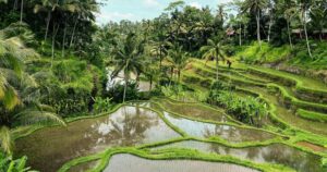 Ubud