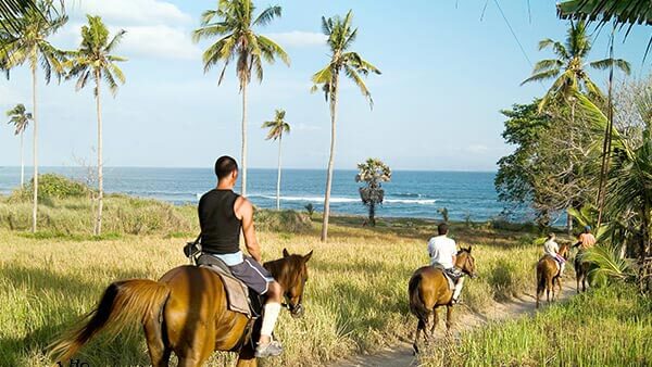 Choice of Bali Horseback Riding Activity Locations