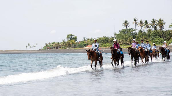 A joyful horse ride on Saba Beach in Bali, connecting with nature.