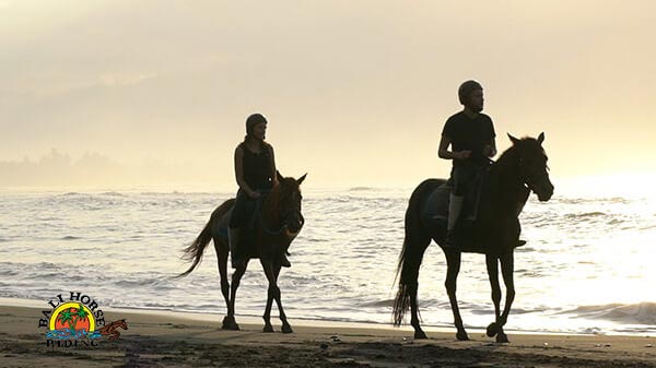 Horseback Riding Experience On The Beach