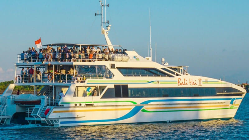 Bali Island Cruise Categories