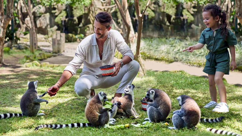 Animal Feeding Bali Zoo