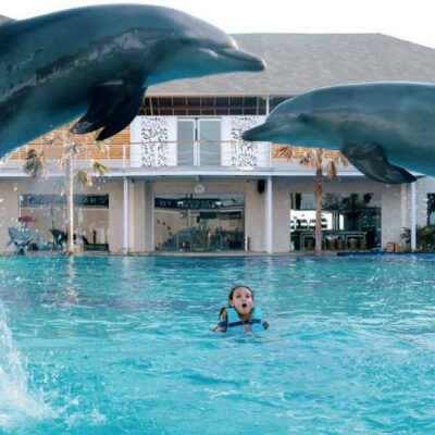 Bali Dolphin Marine Park