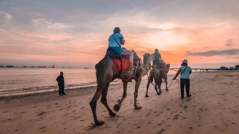 Camel riding along Bali’s breathtaking Kelan Beach Sunset, Lasting Memories and Activities for Young Adults in Bali