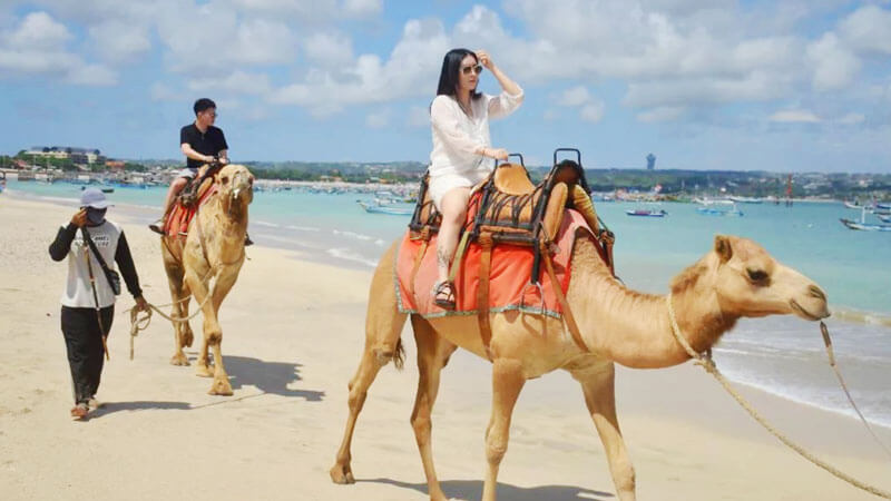 Couple together on a Bali camel safari