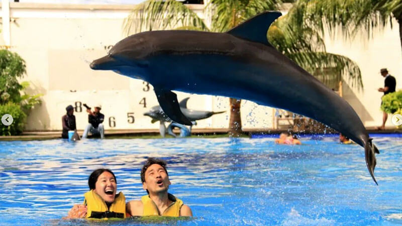 Couple enjoying an interactive dolphin session in Discovery Program, supervised by safety experts.