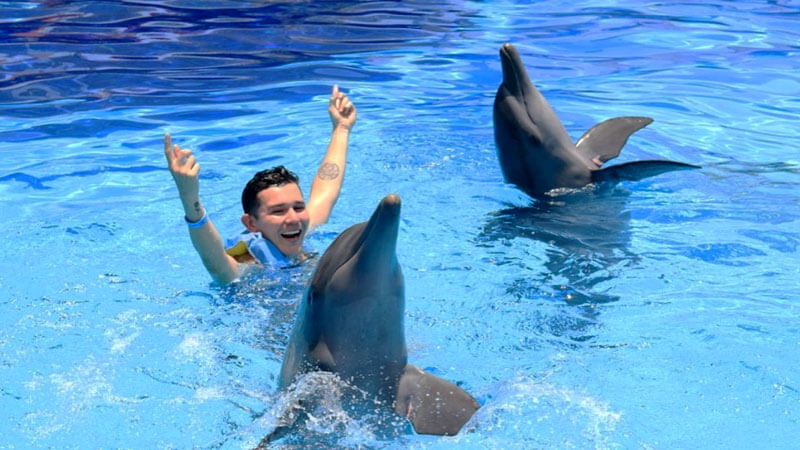 Dolphin dancing infront of a tourist at Bali Dolphin Marine Park