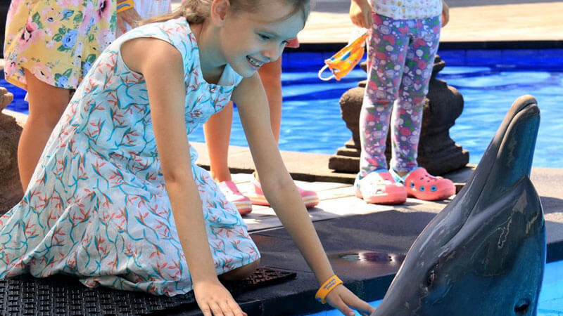 A child smiling during their dolphin encounter session, suitable for all ages and ideal for group events in Encounter Program