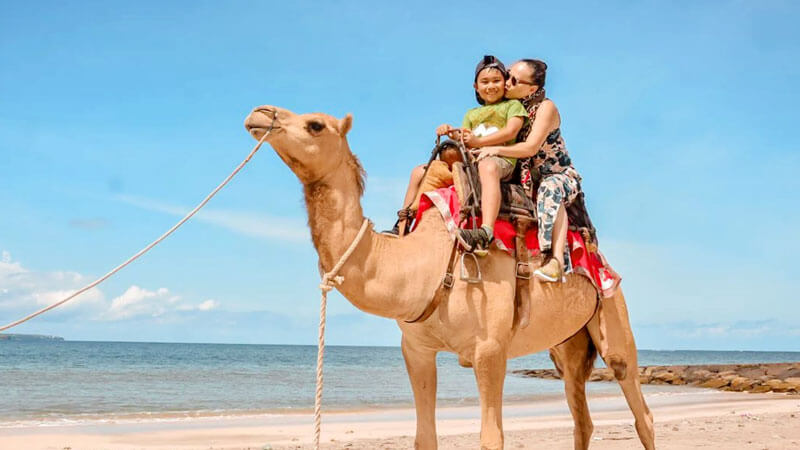 Family enjoying a camel ride on Kelan Beach, Bali