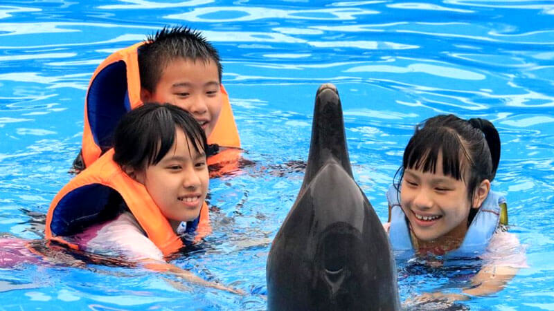 Family enjoying dolphin up close at Bali Dolphin Marine Park