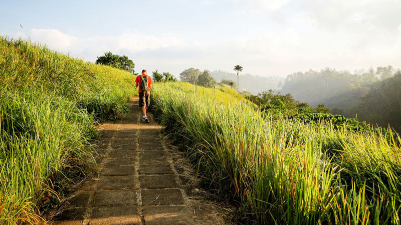 Walking on Campuhan Ridge, Enjoyable Pursuits on the Island of Bali.