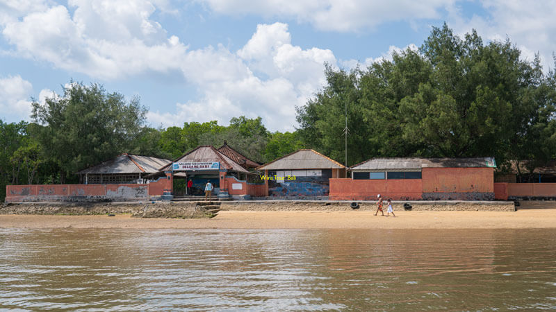 Tanjung Benoa Bali green turtle hatchery