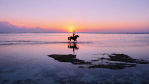 Gili Trawangan sunset with horse rider silhouette.