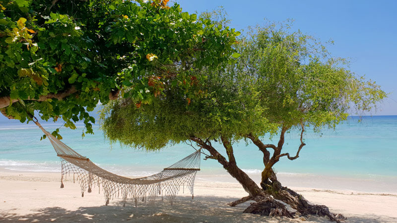 Relaxing hammock under shady trees on the pristine shores