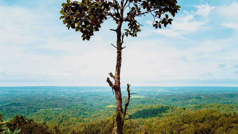 Panoramic view of Tirta Manggis Sari Peak