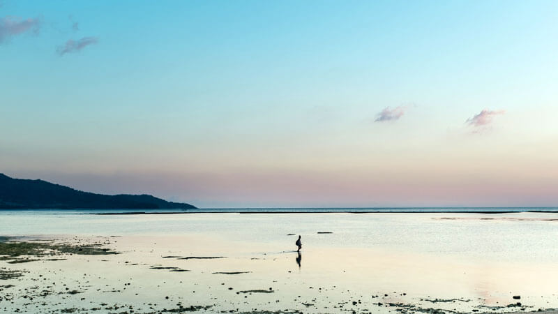 Lombok's serene landscapes