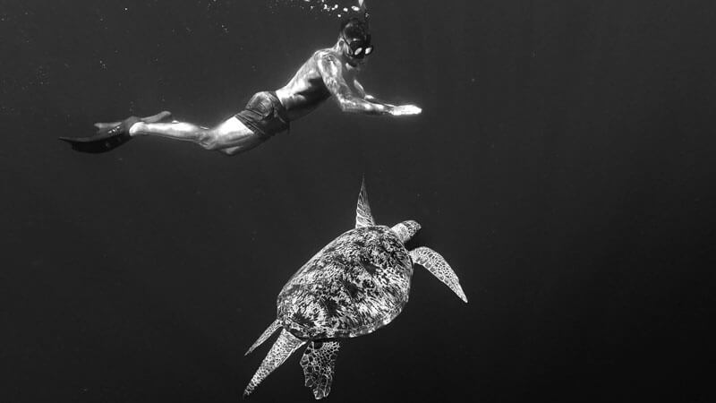 Snorkeling with turtle Gili Air Island