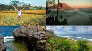 People enjoy various free tourist activities in Bali: flower fields, misty mountains, rocky cliffs, and expansive beaches.