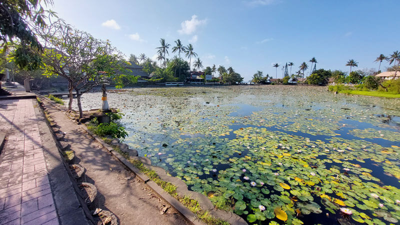 Lotus Lagoon Candidasa