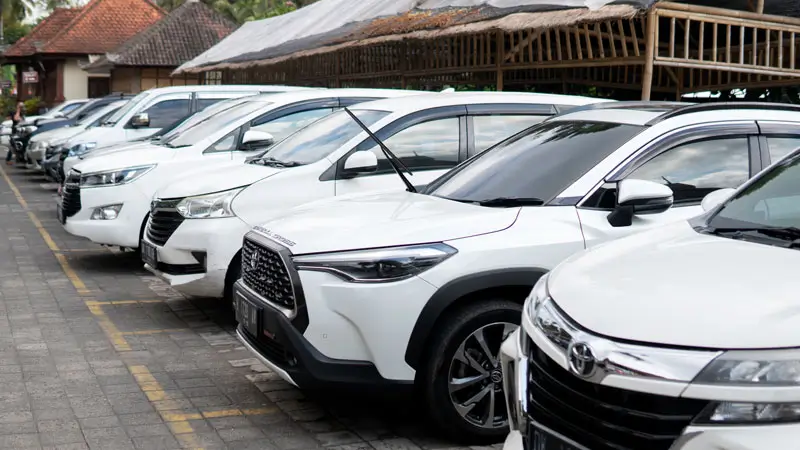 Row of cars in the parking area near the entrance