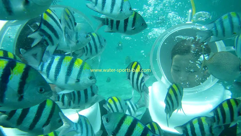 Seawalker helmet experience in Bali surrounded by tropical fish