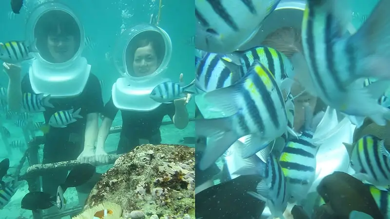 Seawalker underwater walk with helmet and tropical fish in Bali