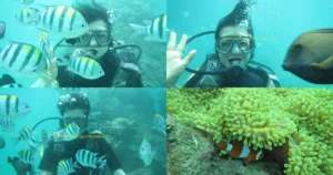 Collage of intro scuba divers and reef life in Tanjung Benoa